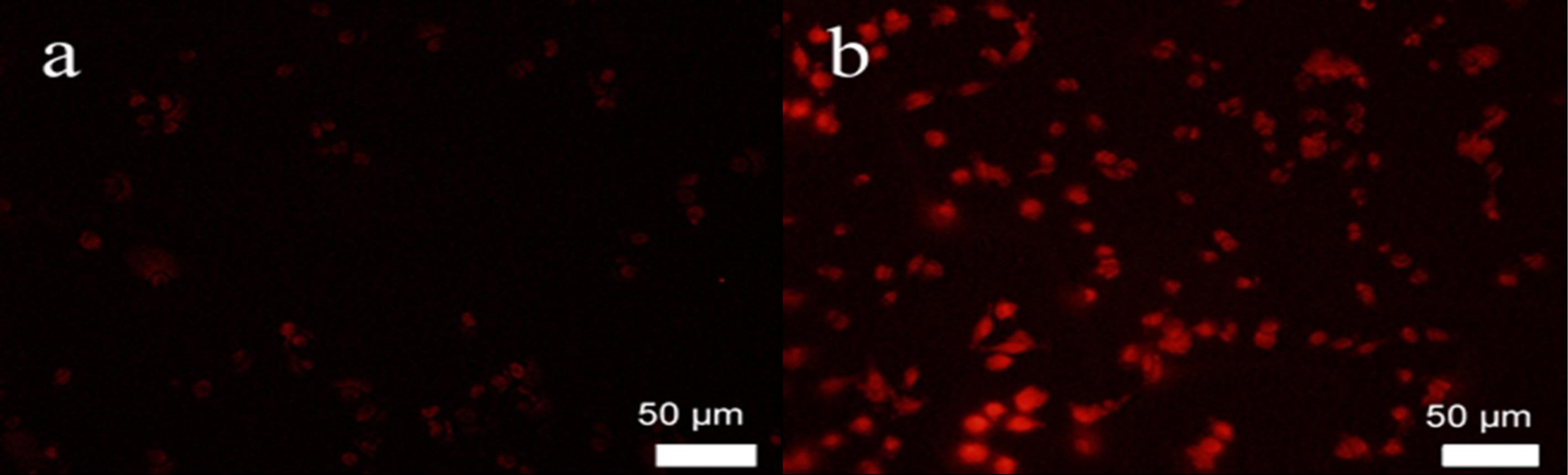 ps-32-219-g014