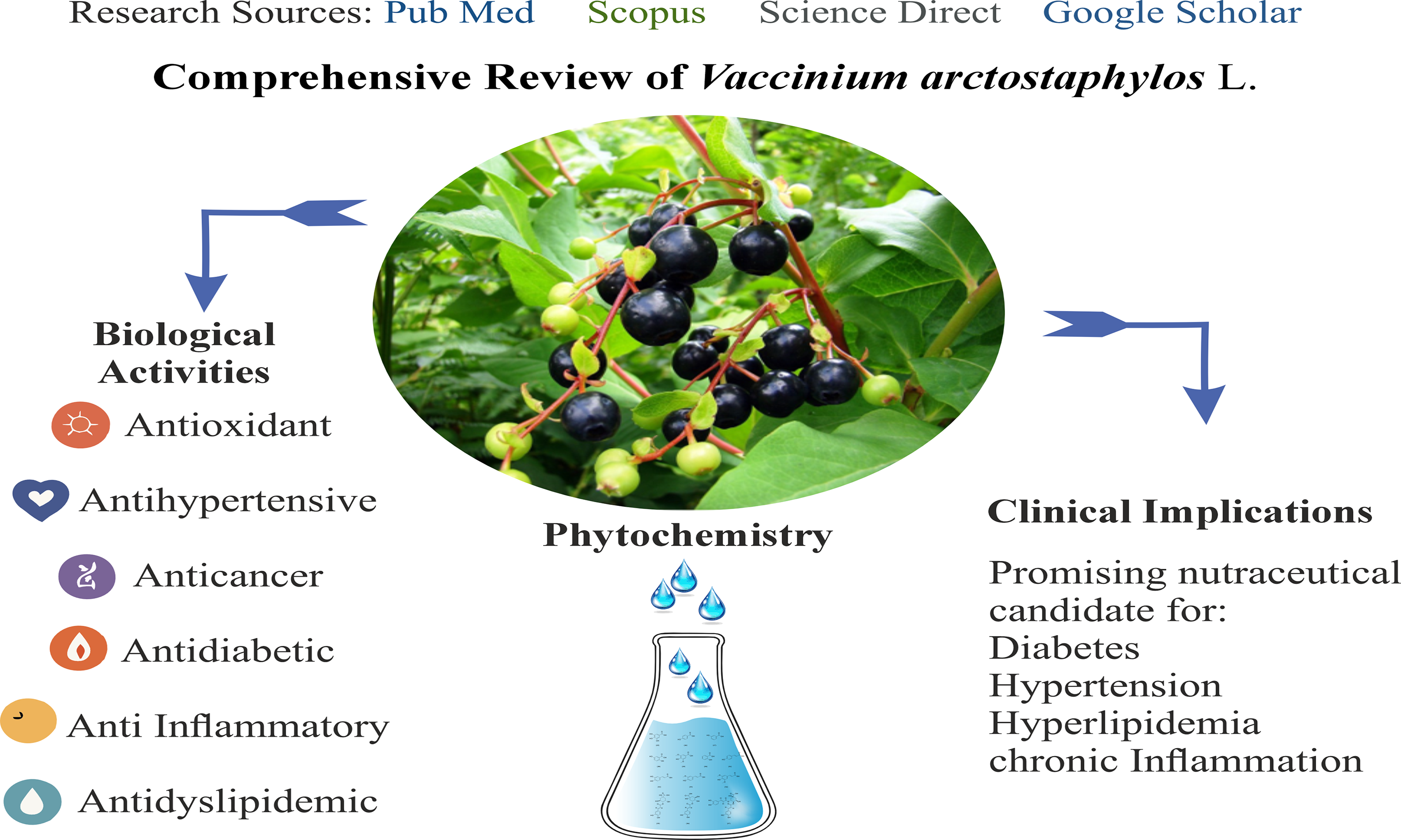 Graphical Abstract