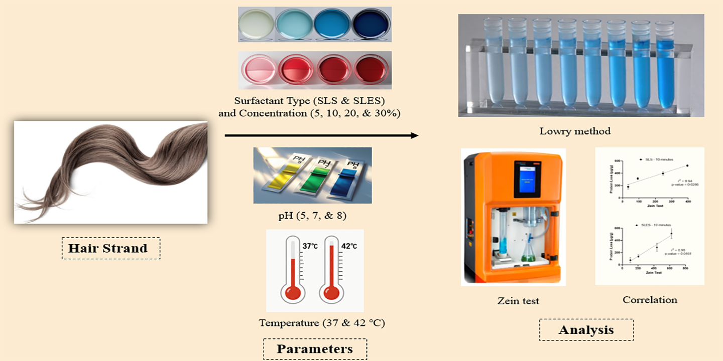 Graphical Abstract