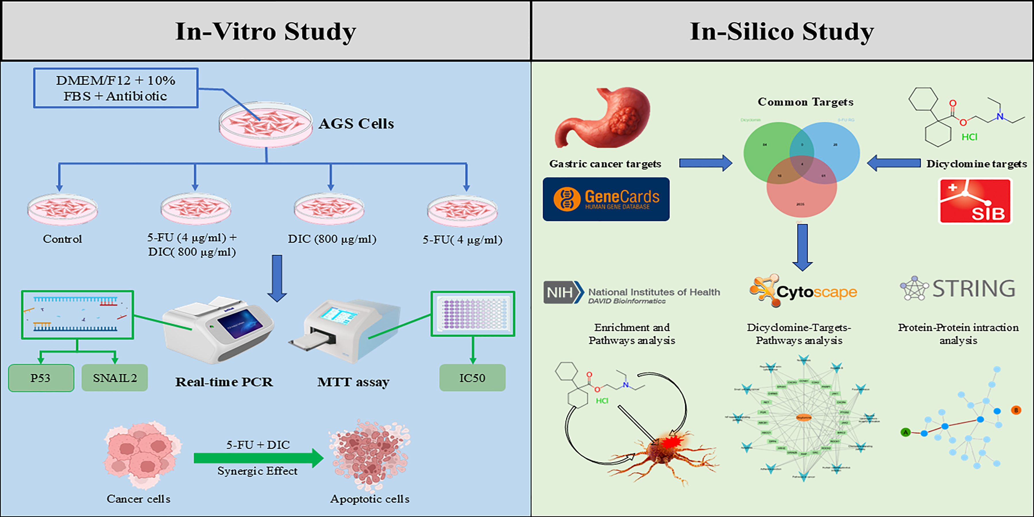 Graphical Abstract