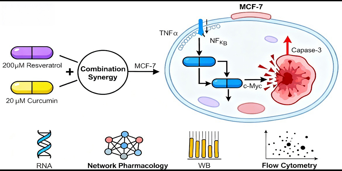 Graphical Abstract