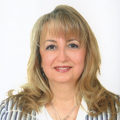 Sibel A. Ozkan